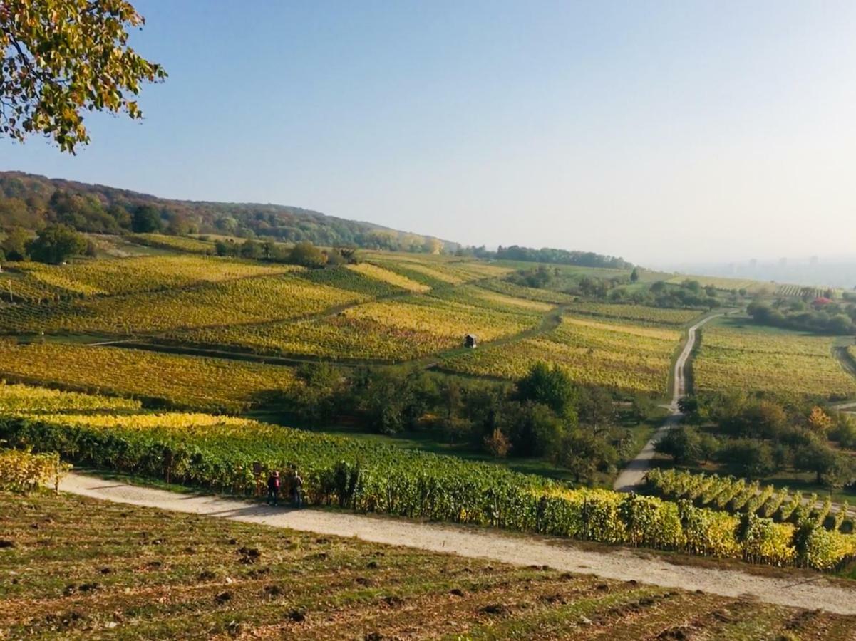 Ferienloft In Der Blauen Scheune Binzen Zewnętrze zdjęcie